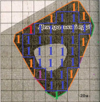 Решение №2355 На фрагменте географической карты схематично изображены очертания Центрального пруда города Одинцово с островом (площадь одной клетки равна 400 м^2).