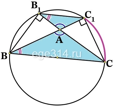 В треугольнике АВС с тупым углом ВАС проведены высоты BB1 и CC1.