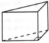 В основании прямой призмы лежит прямоугольный треугольник, один из катетов которого равен 3
